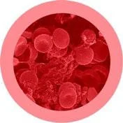 Cheerful and happy stuffed figuresRed Blood Cell (Erythrocyte) XL Size - GIANTmicrobes® Plush Toy