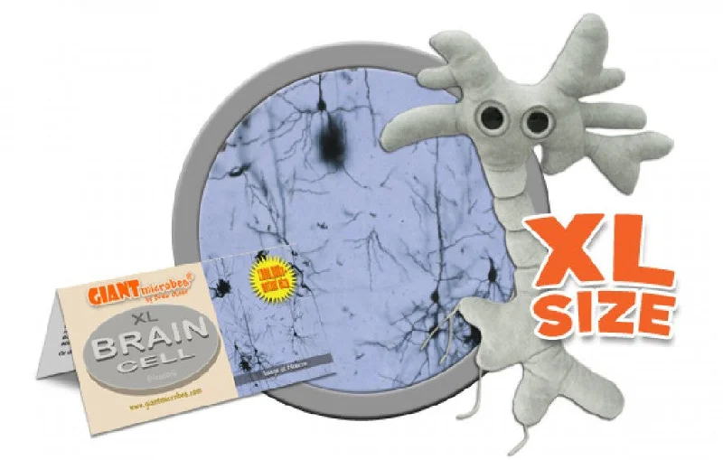 Colorful and vibrant plush creationsBrain Cell (Neuron) XL Size - GIANTmicrobes® Plush Toy
