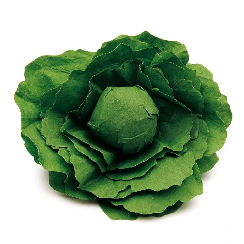 sturdy and durable wooden toys for rough play                   Erzi Lettuce