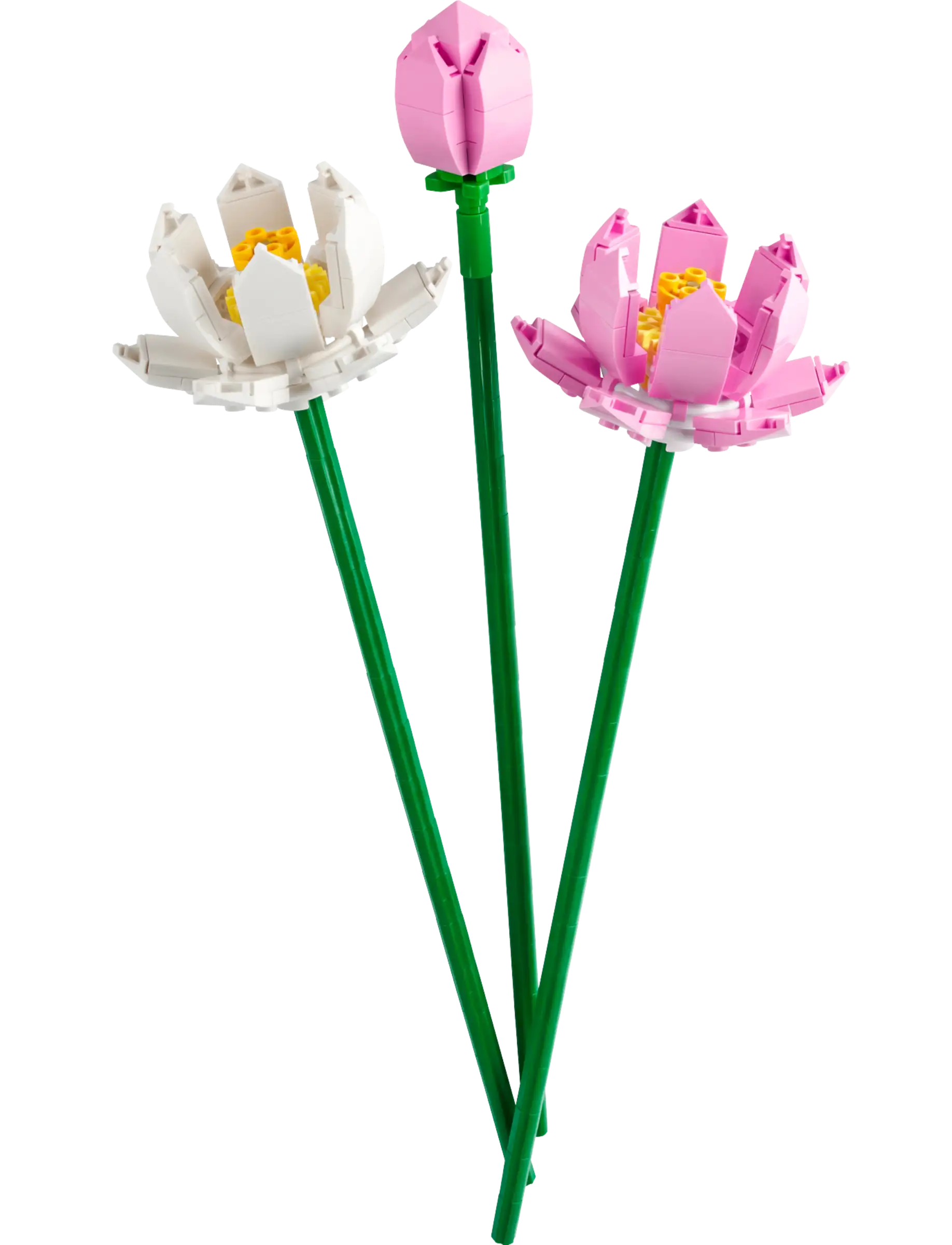 Inspiring future engineers LEGOLEGO 40647 Lotus Flower