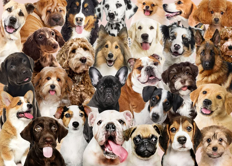 Fun gamesAll The Dogs 1000 Piece Puzzle