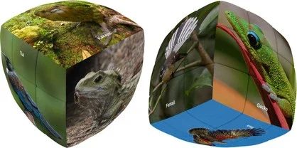Interactive games NEW ZEALAND WILDLIFE  3X3  PILLOW  PRINTED