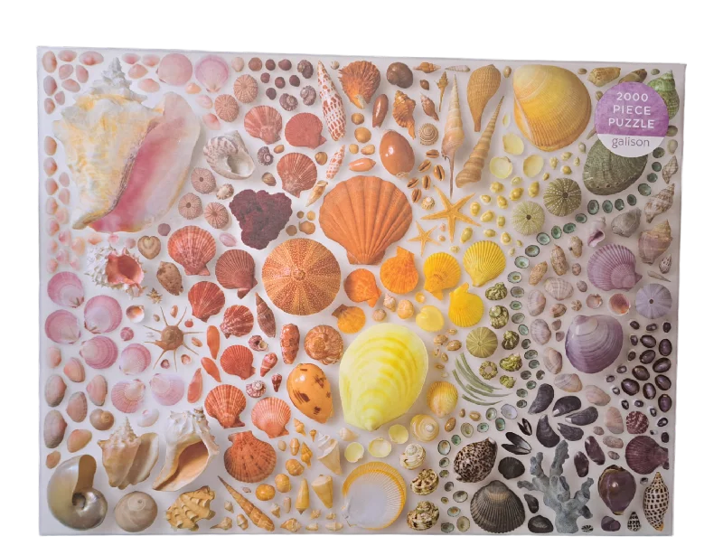 Social games Seashells - 2000pc Puzzle